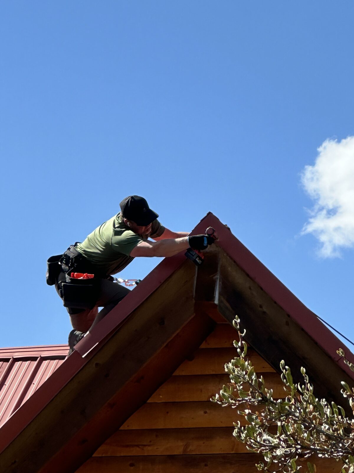 Wyoming Wildlife Specialists technician installing bat exclusion at a cabin roofline